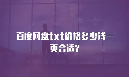 百度网盘txt价格多少钱一页合适？