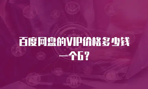 百度网盘的VIP价格多少钱一个G？