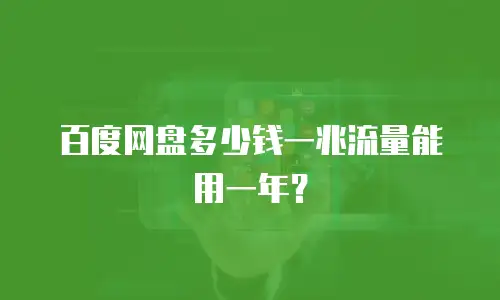 百度网盘多少钱一兆流量能用一年？