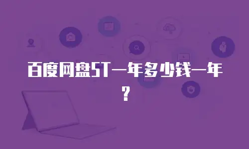 百度网盘5T一年多少钱一年？