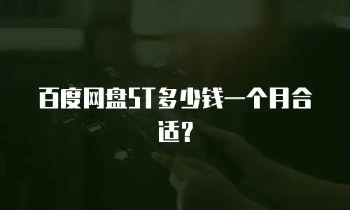百度网盘5T多少钱一个月合适？