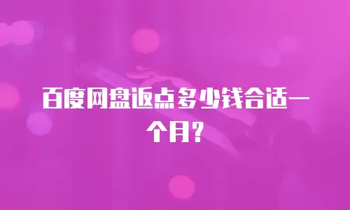百度网盘返点多少钱合适一个月？