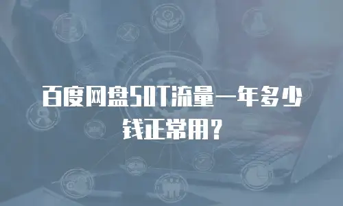 百度网盘50T流量一年多少钱正常用？