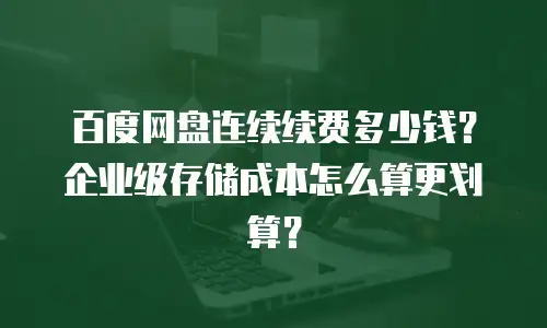 百度网盘连续续费多少钱？企业级存储成本怎么算更划算？