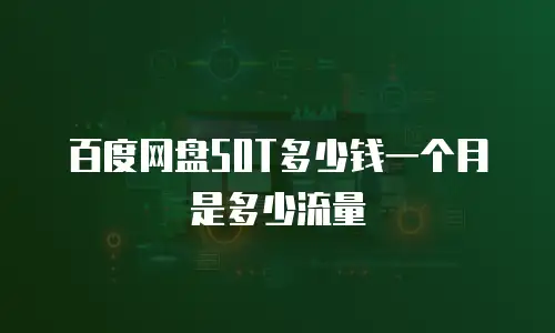 百度网盘50t多少钱一个月是多少流量