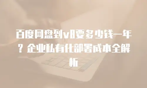 百度网盘到v8要多少钱一年？企业私有化部署成本全解析