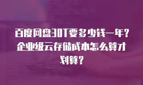 百度网盘30T要多少钱一年？企业级云存储成本怎么算才划算？