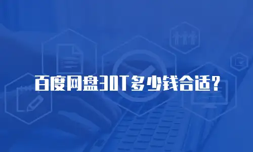 百度网盘30T多少钱合适？