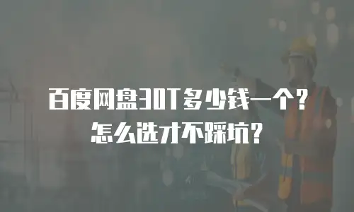 百度网盘30T多少钱一个？怎么选才不踩坑？