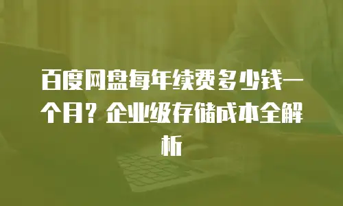 百度网盘每年续费多少钱一个月？企业级存储成本全解析