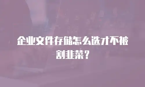 企业文件存储怎么选才不被割韭菜？