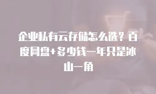 企业私有云存储怎么选？百度网盘+多少钱一年只是冰山一角
