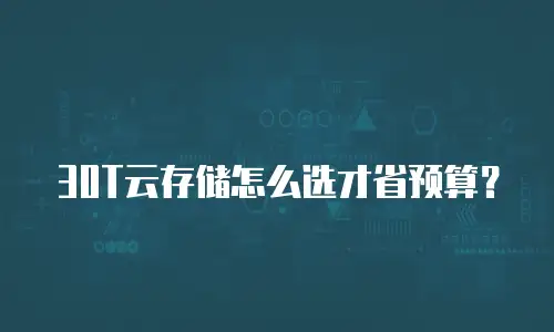 30T云存储怎么选才省预算？