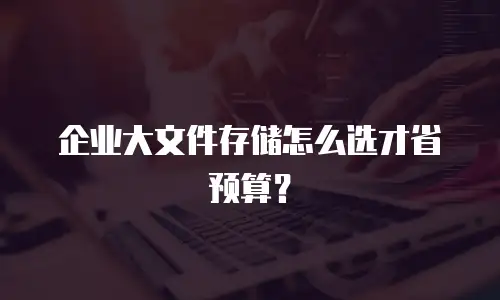 企业大文件存储怎么选才省预算？