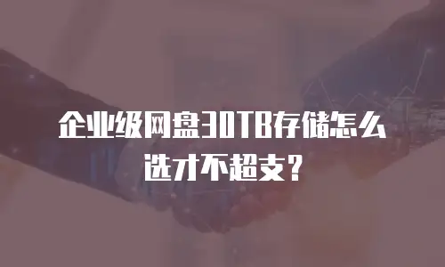 企业级网盘30TB存储怎么选才不超支？