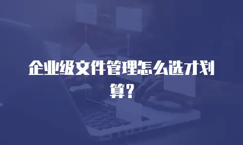 企业级文件管理怎么选才划算？