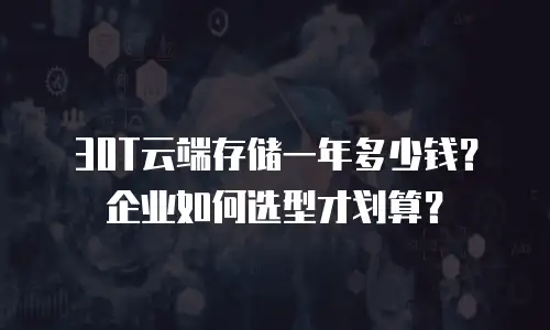 30T云端存储一年多少钱？企业如何选型才划算？