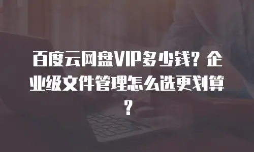 百度云网盘VIP多少钱？企业级文件管理怎么选更划算？