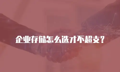 企业存储怎么选才不超支？